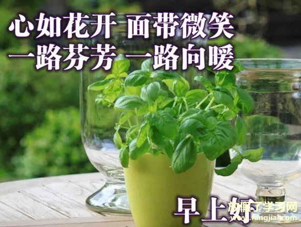 冬日温馨的早上好祝福图片点赞率最高的壁纸