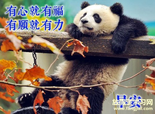 2021年最火的早安语录句子适合发朋友圈配图