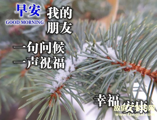 2021年最火的早安语录句子适合发朋友圈配图