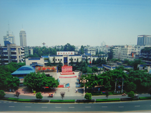 乐山市文化馆 乐山市文化馆