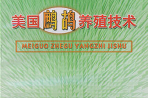美国鹧鸪养殖技术