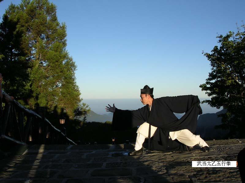 太乙五行拳 太乙五行拳