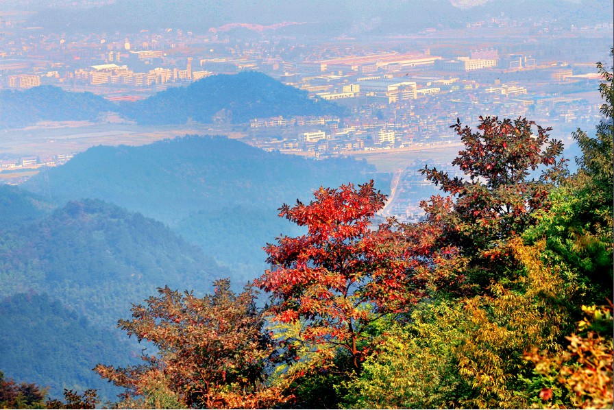 石牛卧山岗 石牛卧山岗