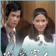 孤家寡人(1978年吴孟达李添胜主演TVB电视剧)