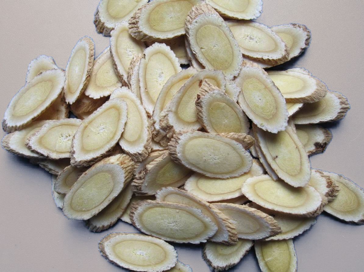 玉屏风(中药名称)
