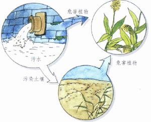 氰化物污染 氰化物污染