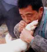 吹猪皮 吹猪皮