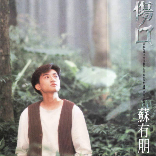 伤口(苏有朋演唱歌曲)
