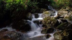 百花岭风景名胜区 百花岭风景名胜区