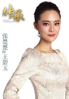 传承(2014年杨玄导演电视剧)