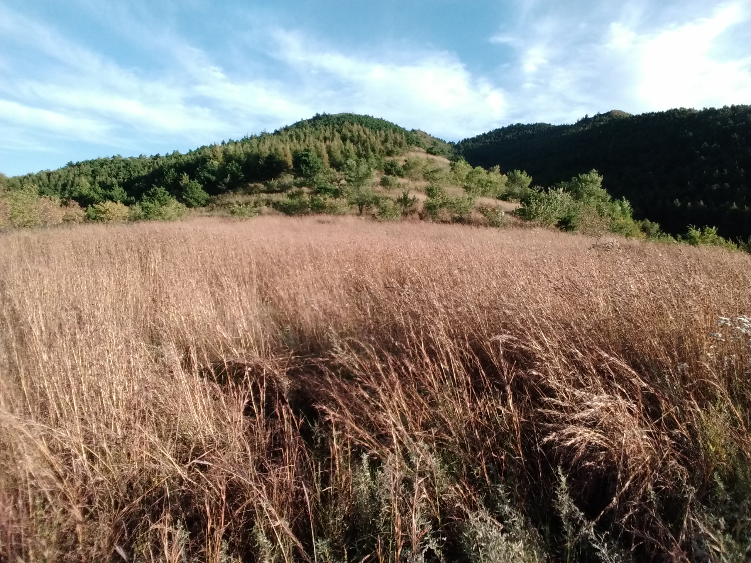 风景 风景
