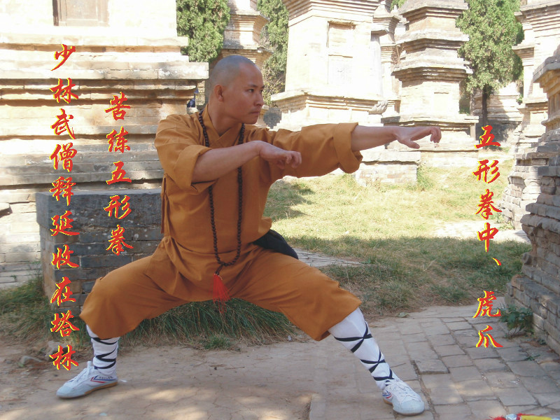 少林五形拳