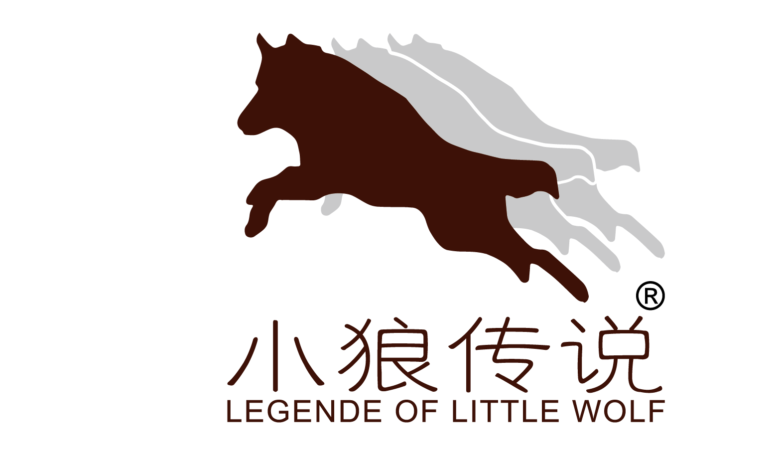 深圳市大漠苍狼科技有限公司