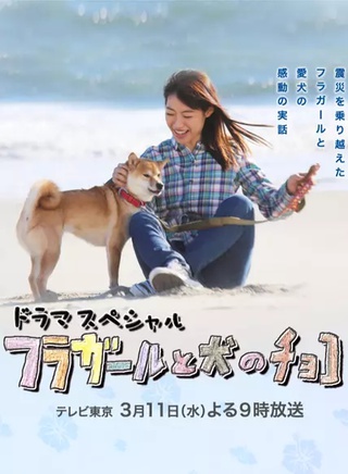 田口浩正