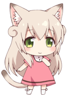 猫咪日常