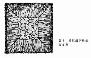 金属的凝固 金属的凝固
