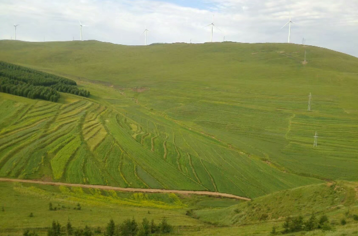 风景(汉语词语)