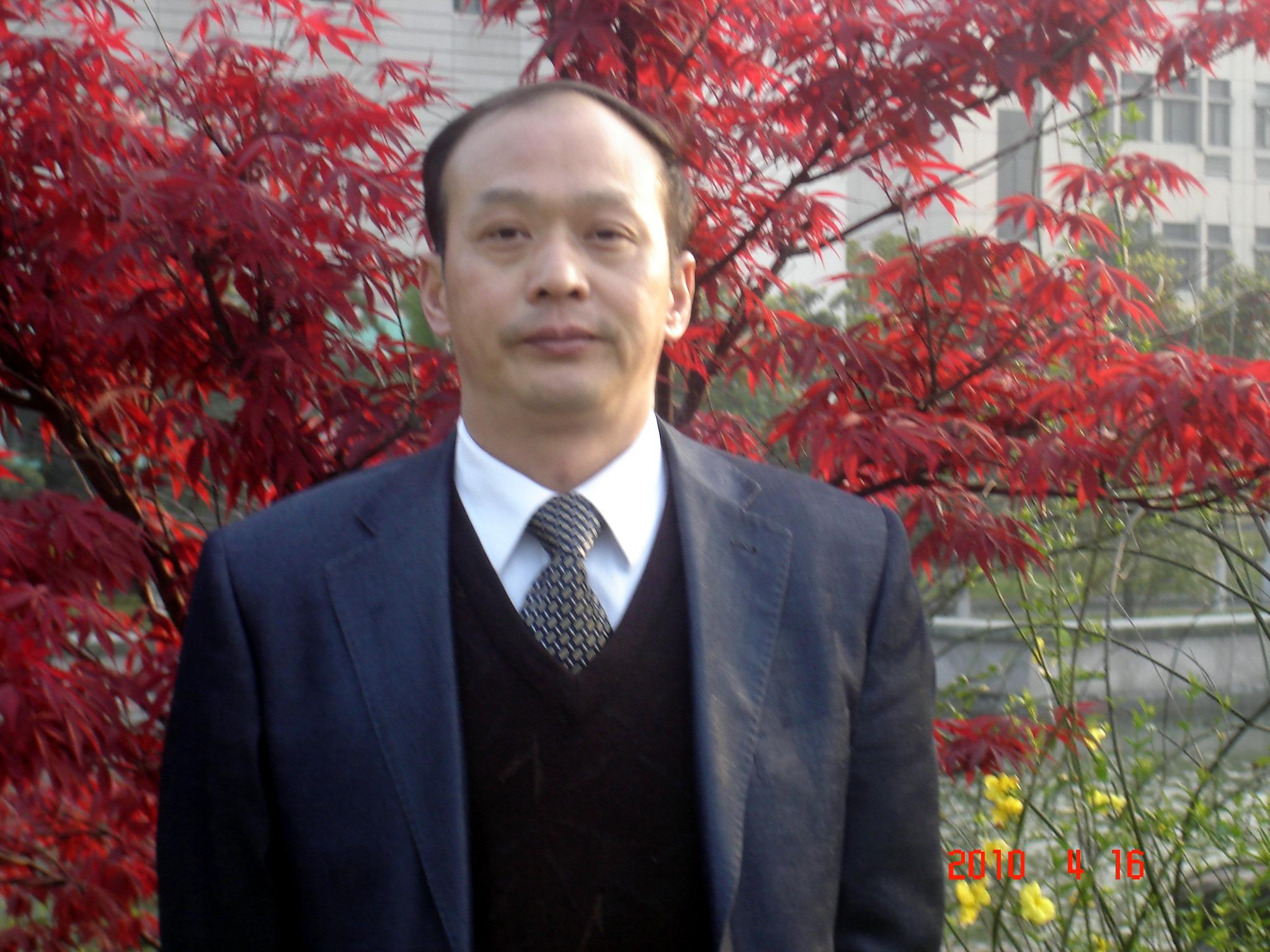 报告文学现代转型研究