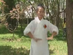 太乙五行拳 太乙五行拳