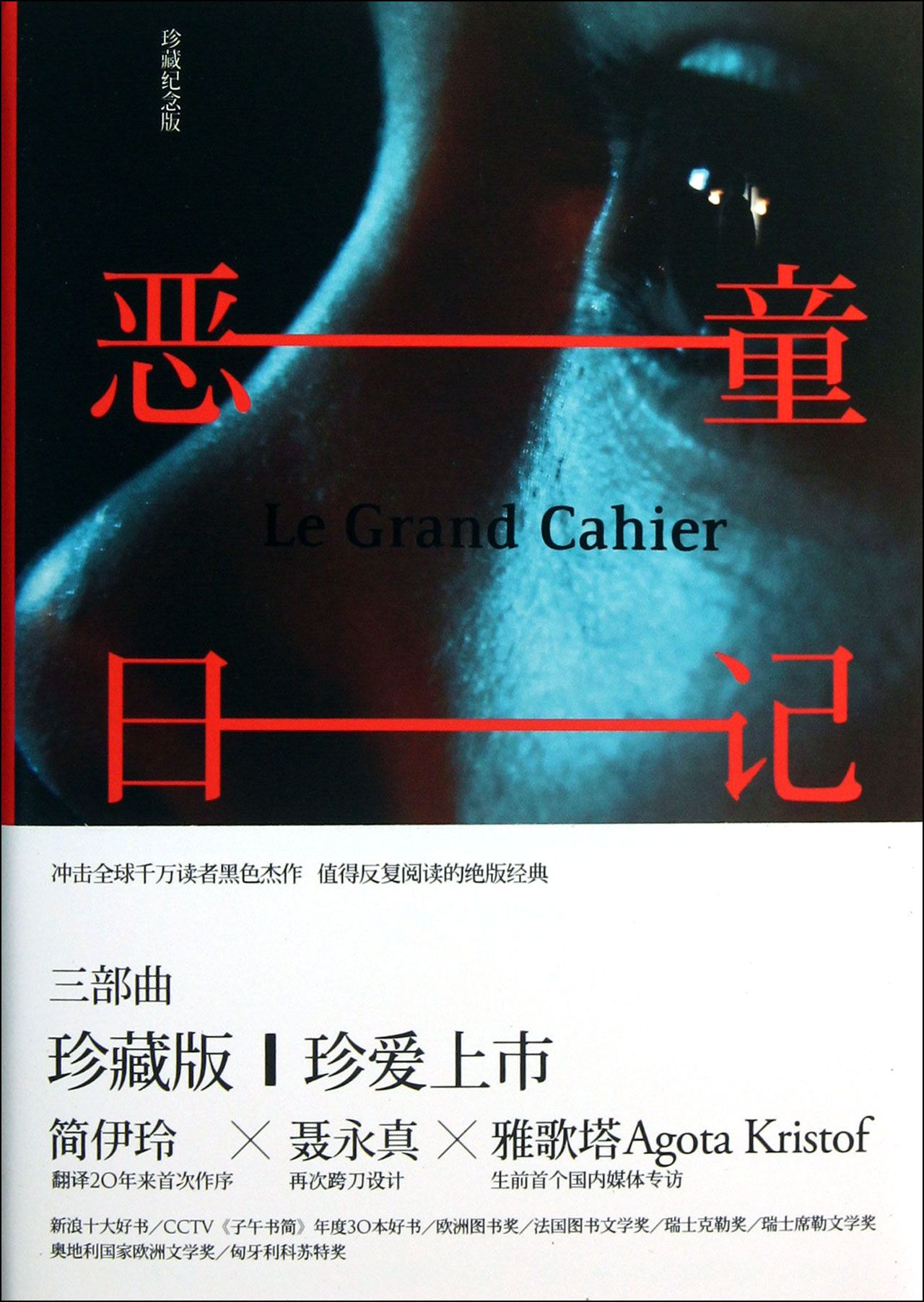 恶童日记(古廄智之导演日本电影)