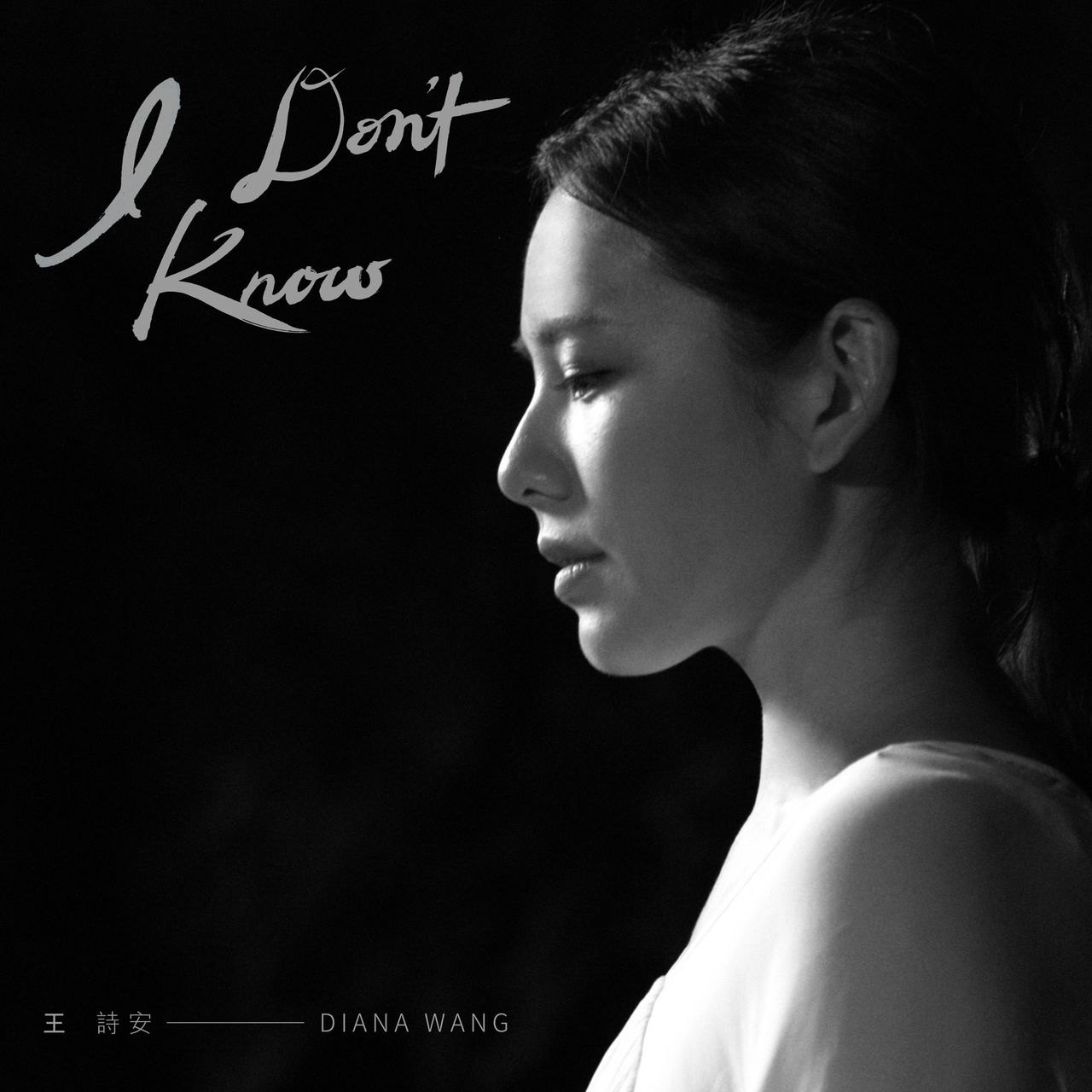 I don\x27t know(王诗安演唱歌曲)