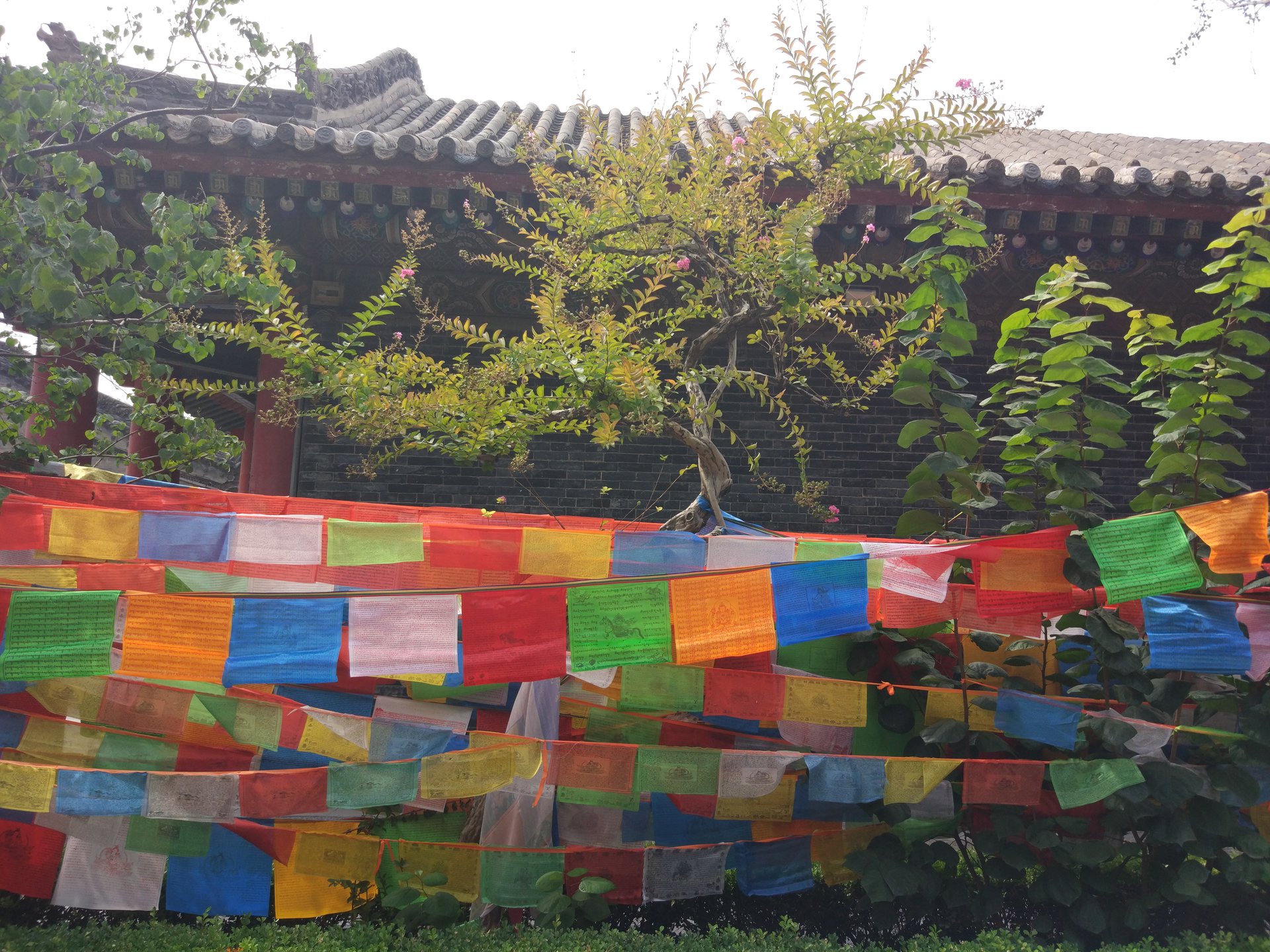 广仁寺(西安唯一的喇嘛教寺院)