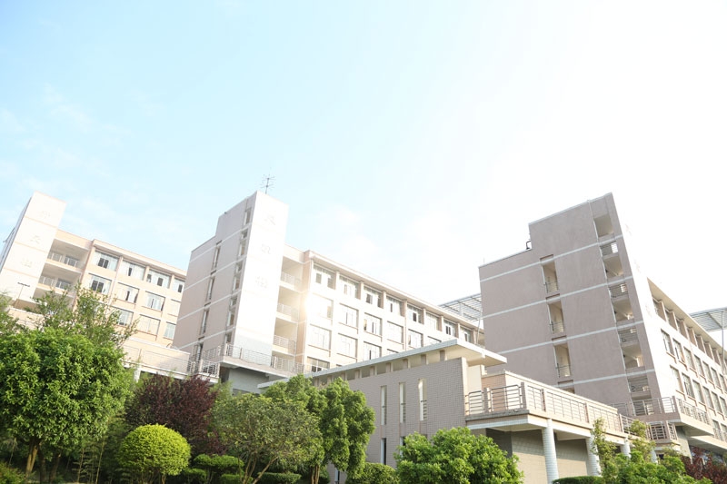 义龙新区第一高级中学 义龙新区第一高级中学