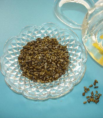 决明子茶 决明子茶