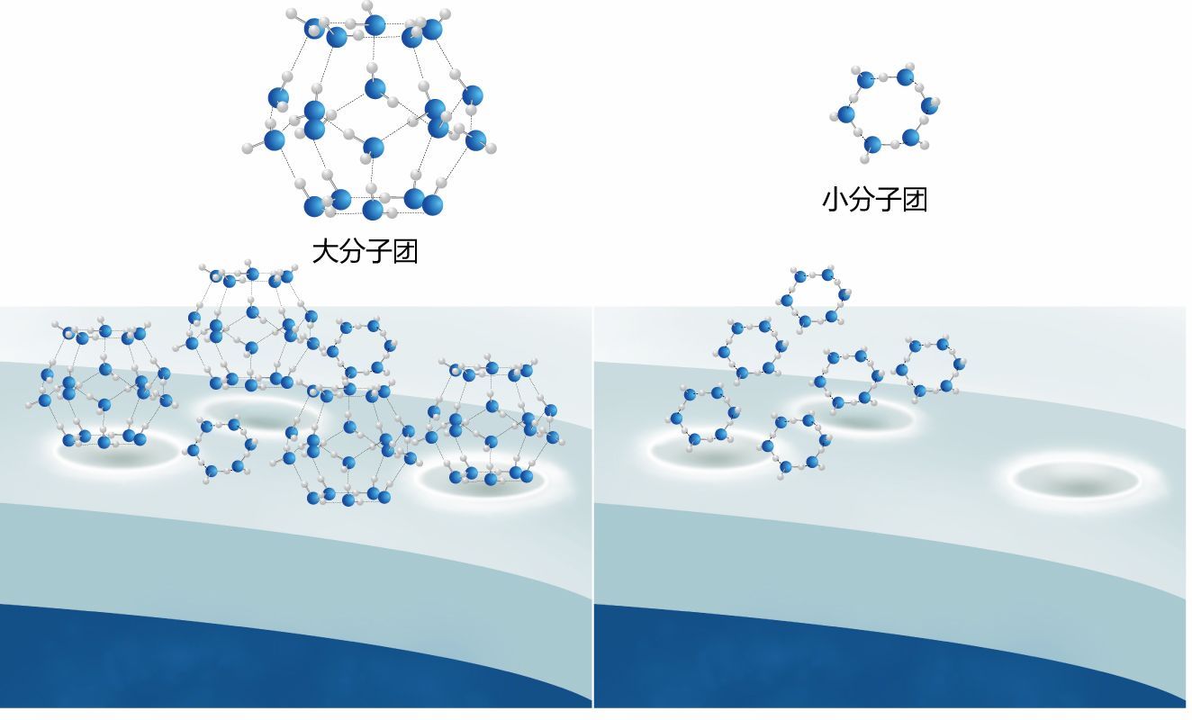 小团水分子