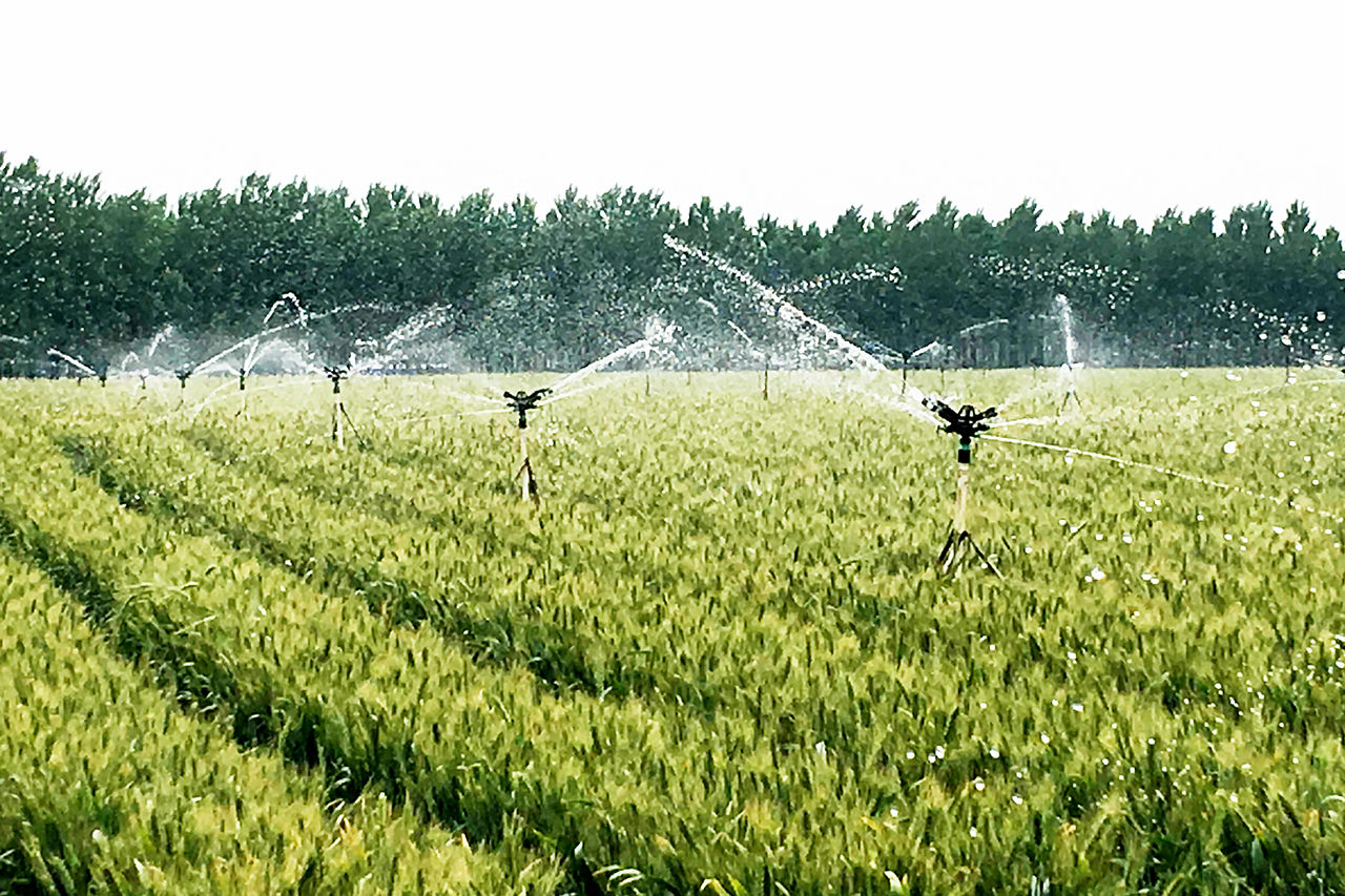高效节水灌溉