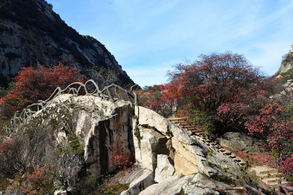 翠华山山崩国家地质公园