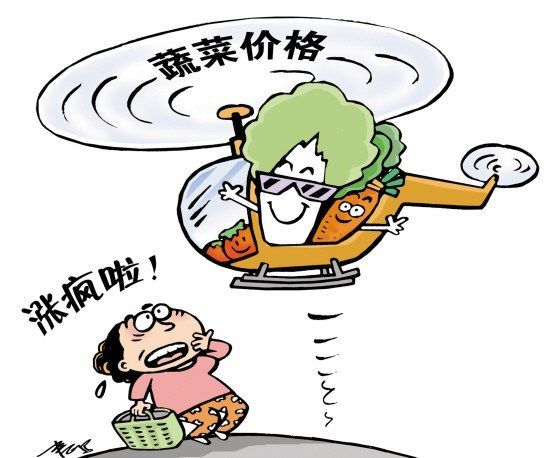泡菜危机漫画 泡菜危机漫画