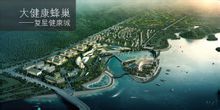 大健康蜂巢 大健康蜂巢