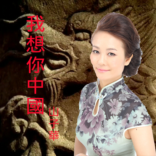 我想你中国