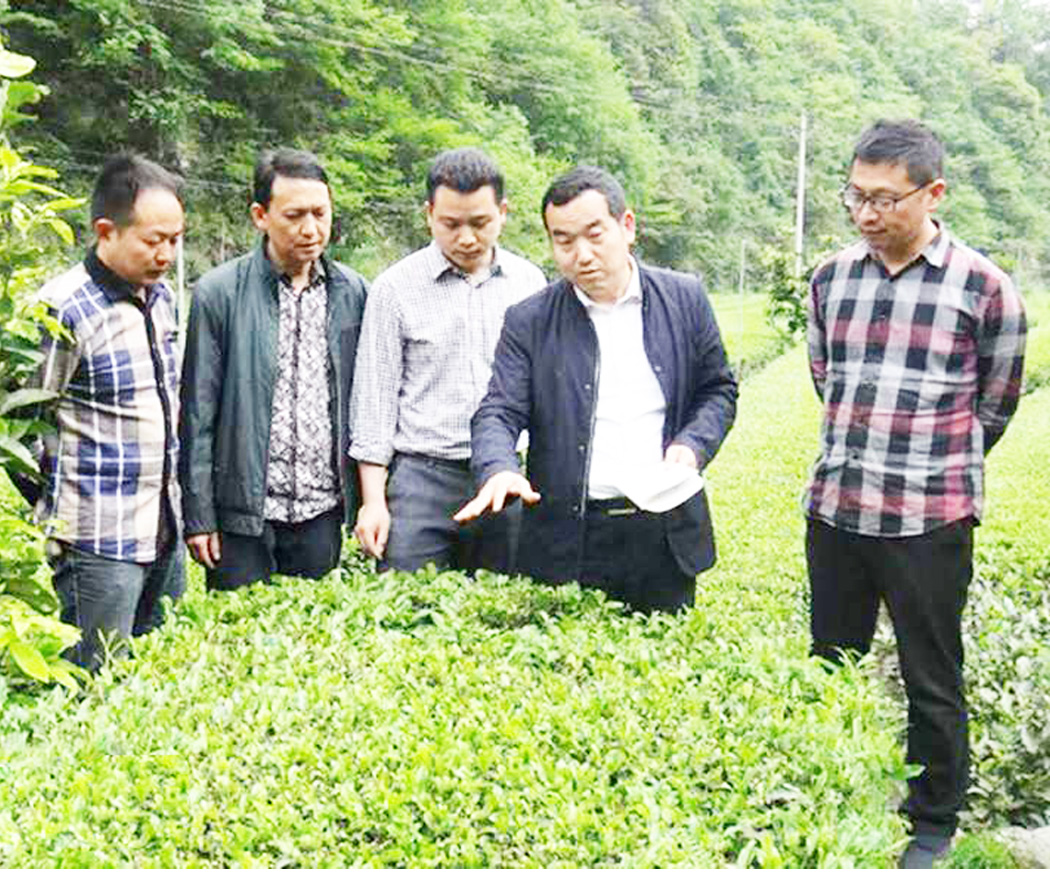 湖北省农业科学院研究员邱正明一行到资丘调研