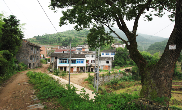 东升村(江苏省无锡市锡山区东港镇东升村)