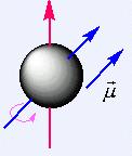 量子数 量子数