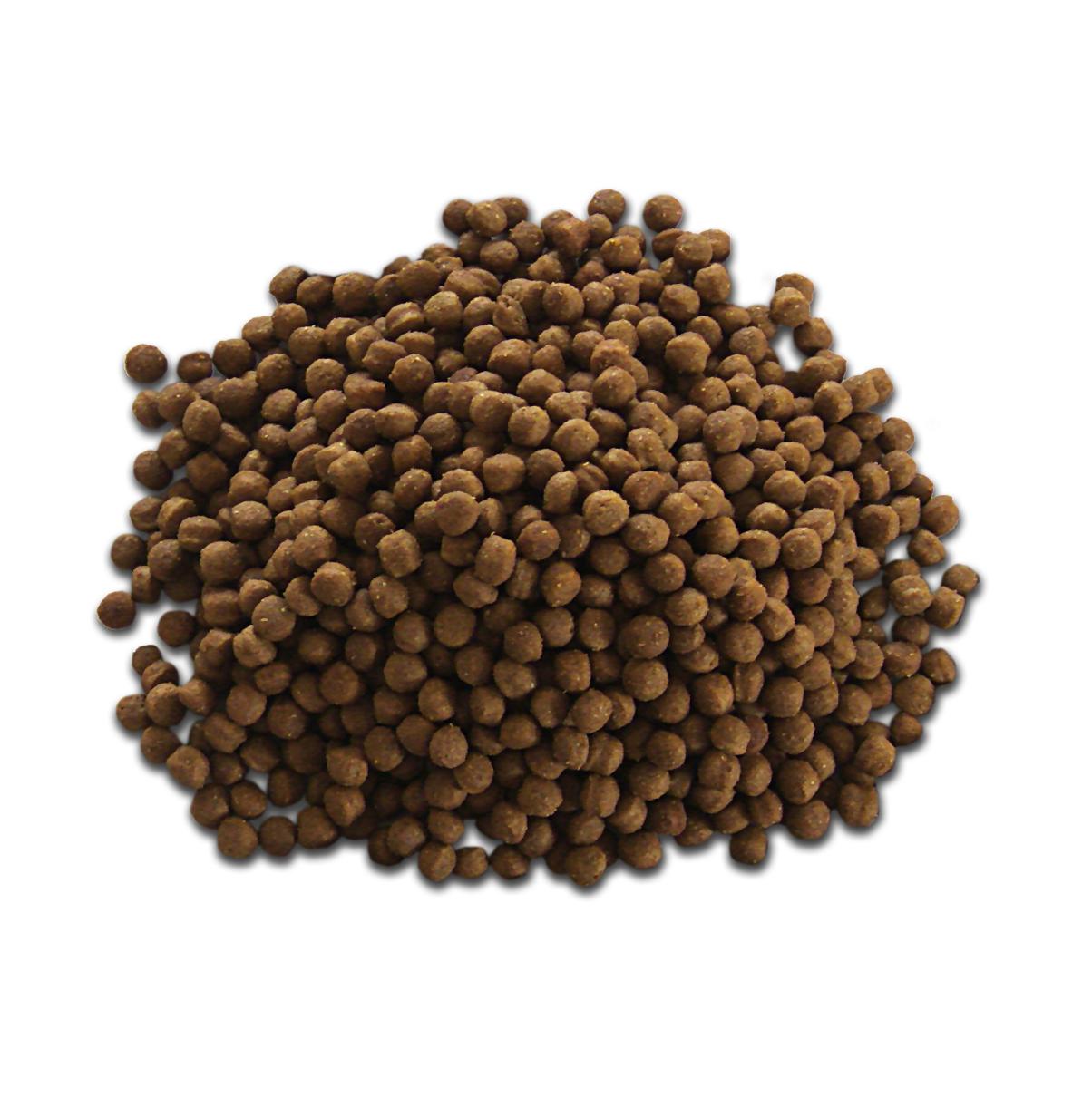 宠物食品-狗粮 宠物食品-狗粮