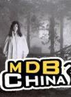 冯宝宝(演员)