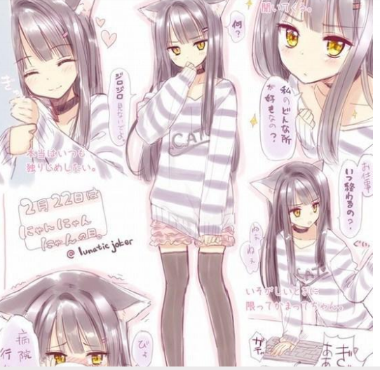 动物系女友 动物系女友