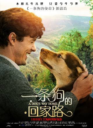 艾什莉·贾德