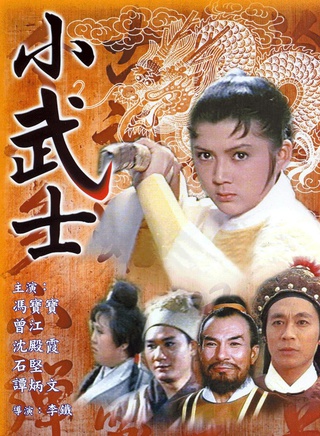 冯宝宝(演员)
