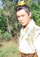神医安道全(2014年余少群主演电视剧)