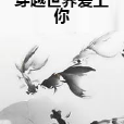 穿越世界爱上你