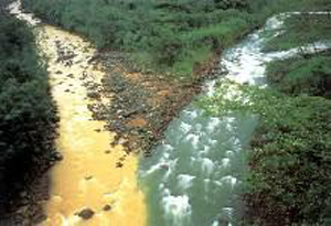 氰化物污染 氰化物污染