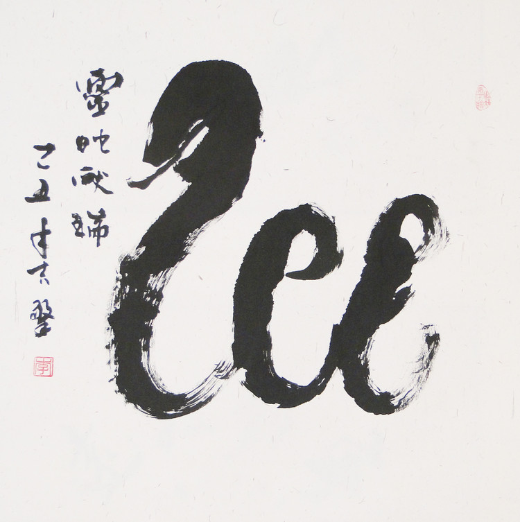象形书法中的蛇形意境 象形书法中的蛇形意境