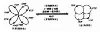 物质代谢 物质代谢