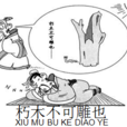 朽木不可雕也