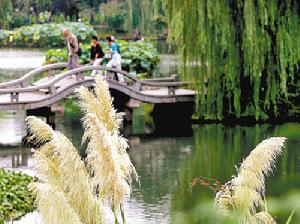 灵隐景区 灵隐景区