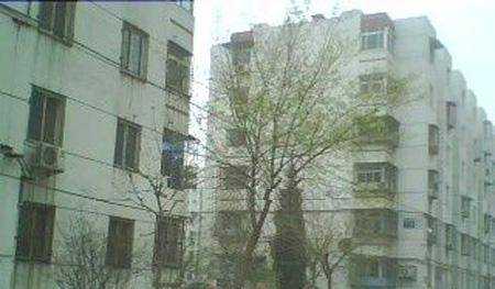 苹果园三区 苹果园三区